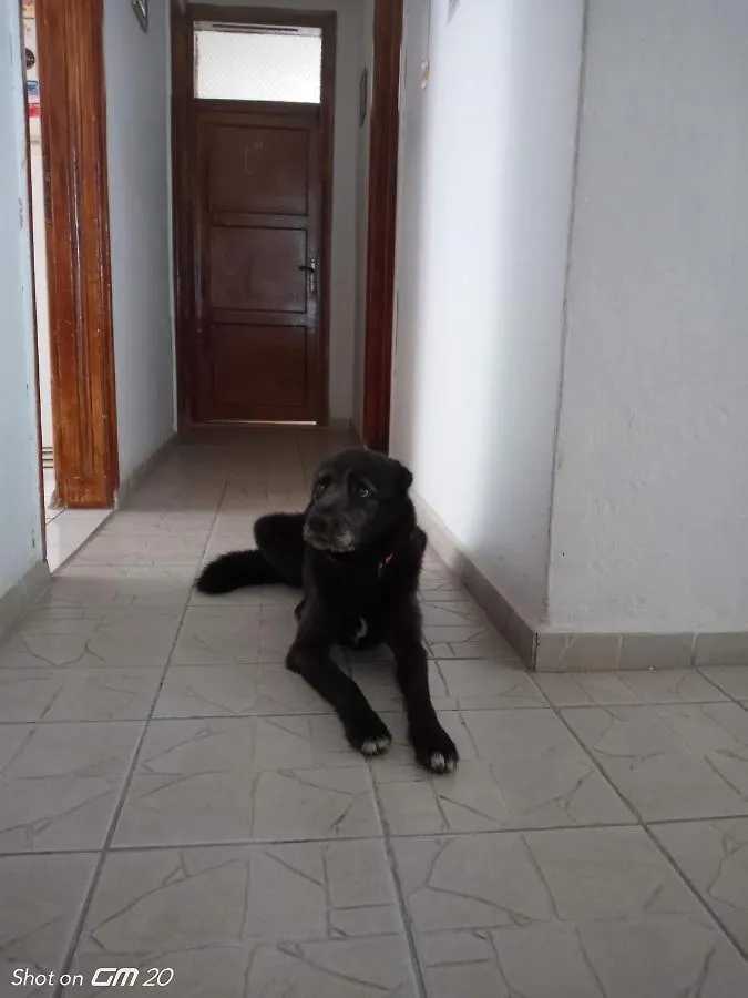 Hzd Apartments Hostel 费特希耶 土耳其